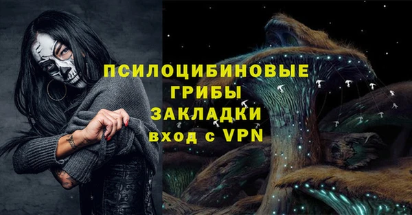 соль ск Алзамай